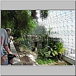 Click to see b208Resized.jpg