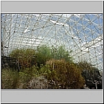 Click to see b211Resized.jpg