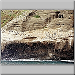 Click to see ms10Resized.jpg