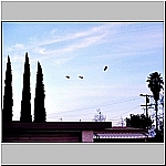 Click to see ms18Resized.jpg