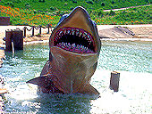 Click here to see photos of Universal Studios.