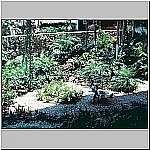 Click to see am05Resized.jpg