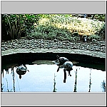 Click to see am06Resized.jpg