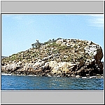 Click to see cmpb19Resized.jpg