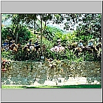 Click to see cmpb45Resized.jpg