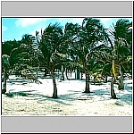 Click to see 90cmc12Resized.jpg