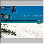 Click to see 90cmc24Resized.jpg