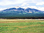 Click here to see photos of northern Arizona.