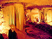 Click here to see photos of the Fantastic Caverns.