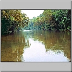 Click to see moarhh11Resized.jpg