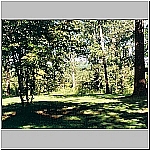 Click to see moarhh18Resized.jpg